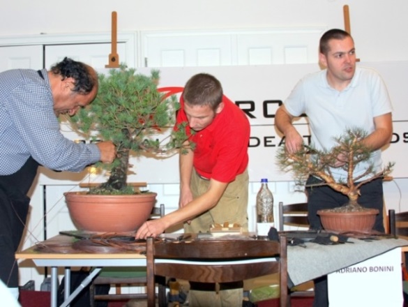 bonsai and suiseki mustra kiallitas workshop and demo